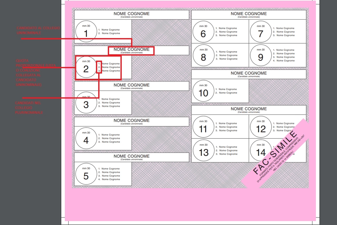 Com'è fatta la scheda elettorale