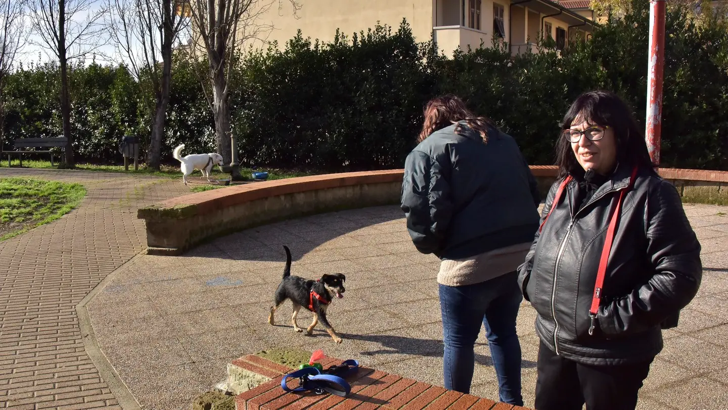 Topicida nell’area verde: allarme a Corea per i cani