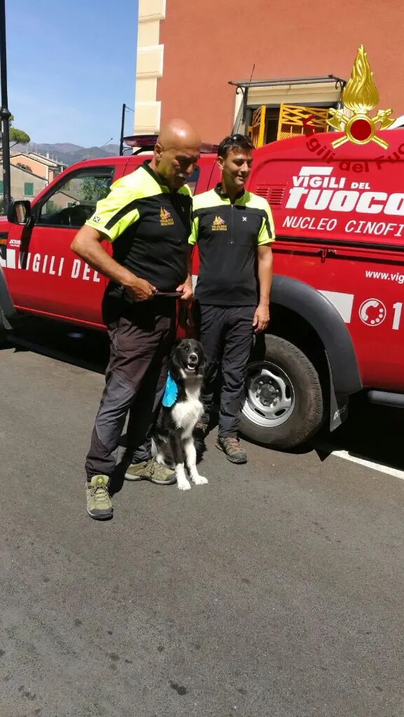 "Terremoto", da cucciolo salvato a cane pompiere