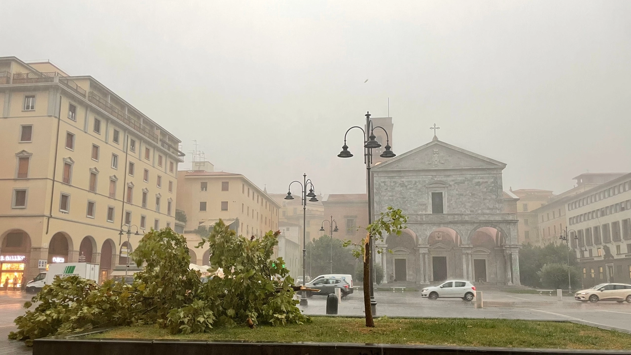 Maltempo a Livorno (Foto Novi)