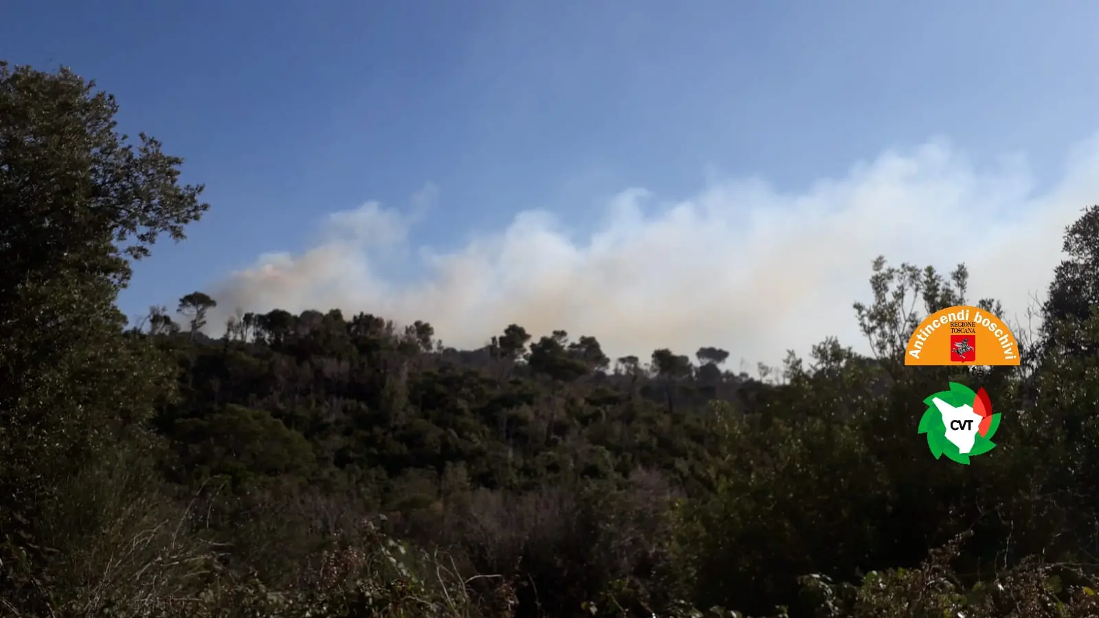 Incendio a Chioma, bosco in fiamme. Corsa contro il tempo per spegnerlo prima del tramonto