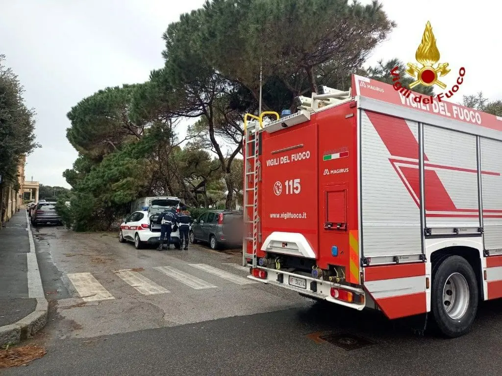 Maltempo a Livorno, pino cade sulle auto in sosta vicino alla Baracchina Rossa