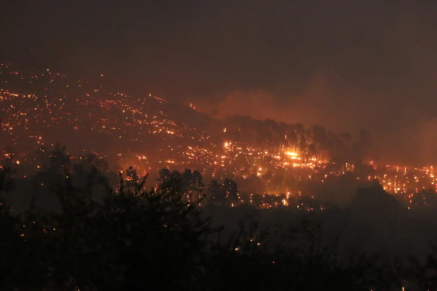 Incendio del Monte Serra, arrestato presunto piromane, "Io non c'entro nulla"