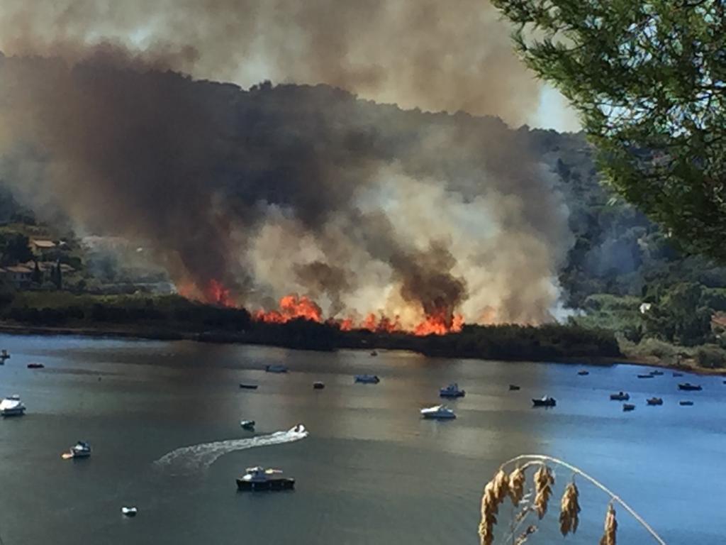 Isola D Elba Paura Per Un Incendio In Localit Mola Foto