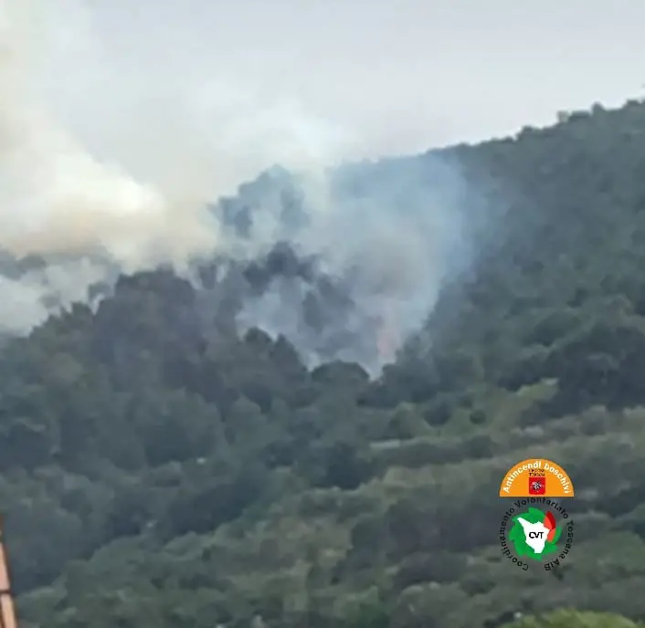 Vasto incendio sul monte Santa Maria a Piombino. Sul posto due elicotteri