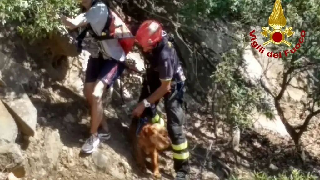 Isola d'Elba, salvati due escursionisti e il loro cane / FOTO