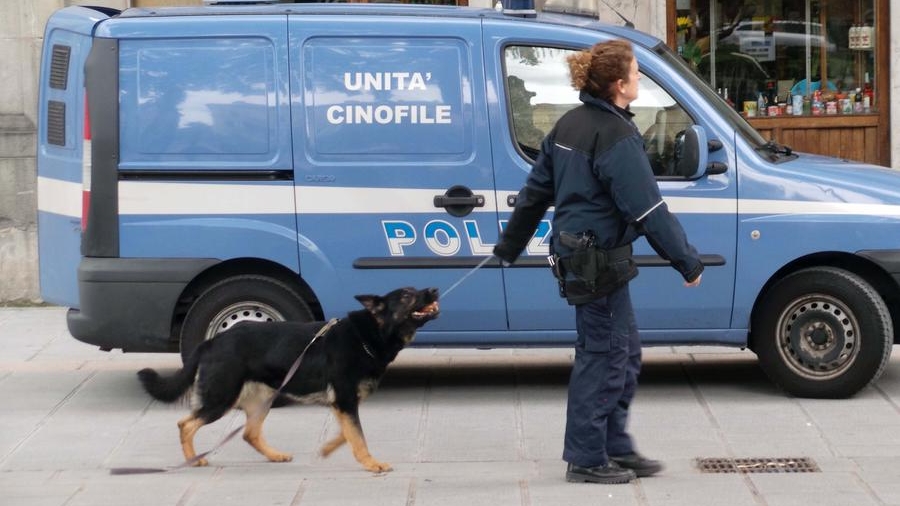 Polizia in azione