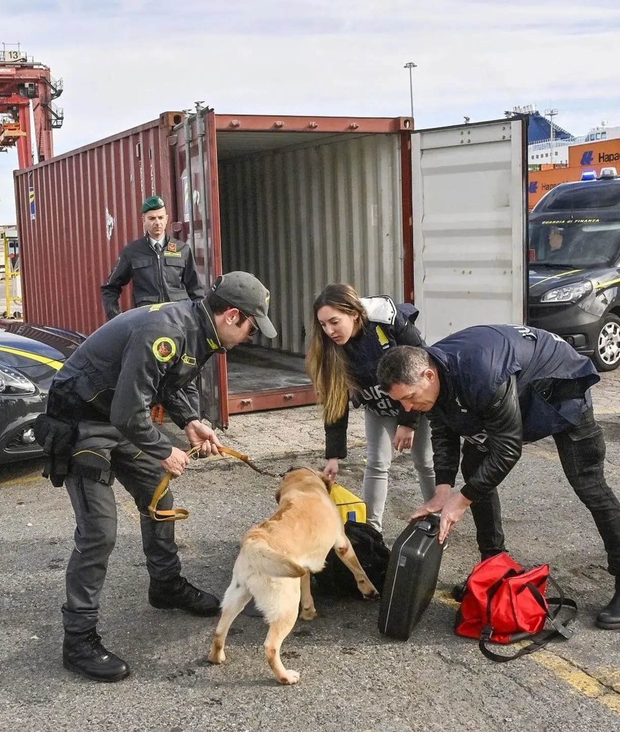 Nove chili di cocaina sequestrati: un arresto a Livorno