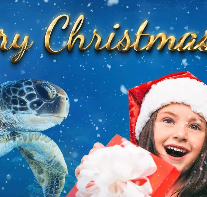 Natale speciale all’Acquario Ecco le iniziative