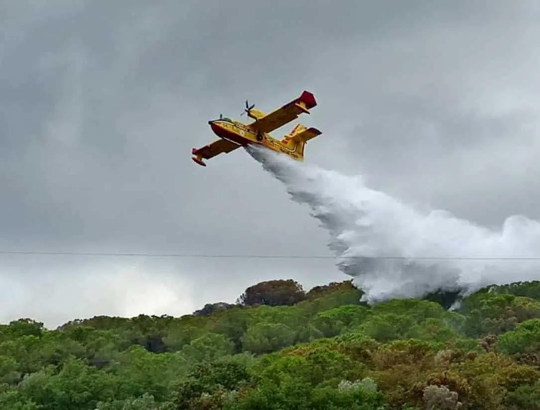 Incendio nel bosco Residence evacuato