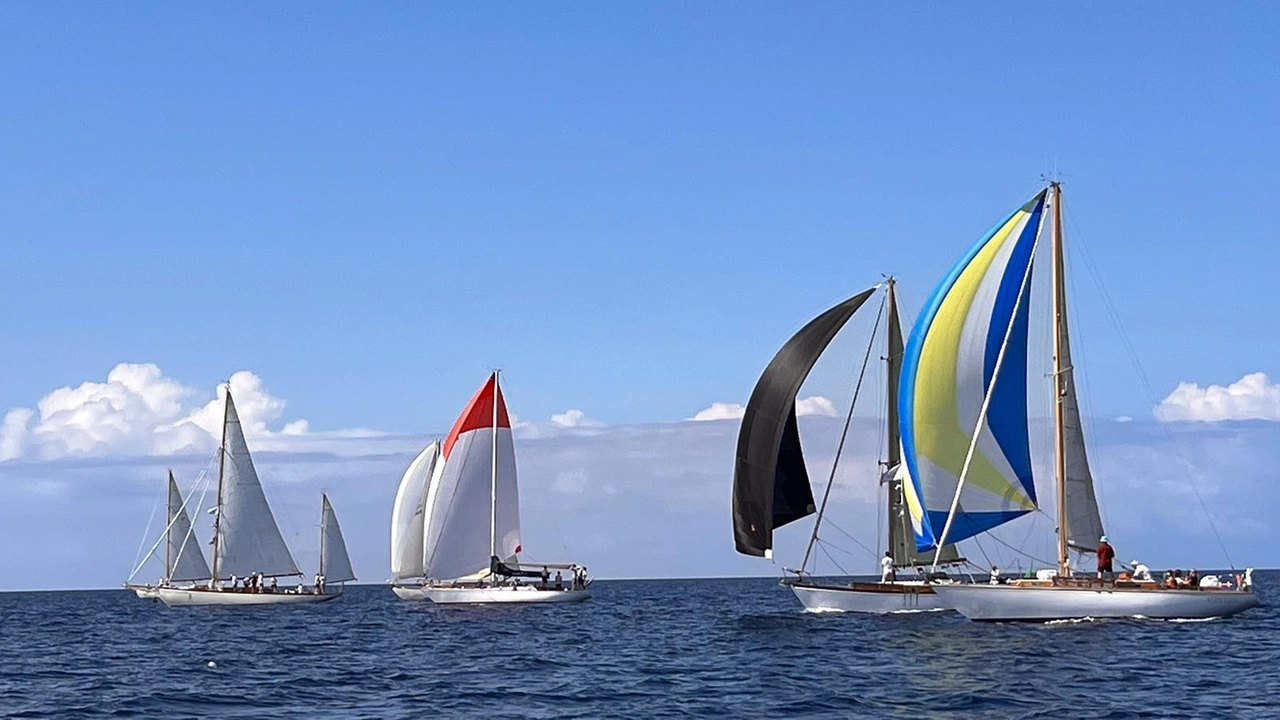 Regata vele storiche all'Isola d'Elba