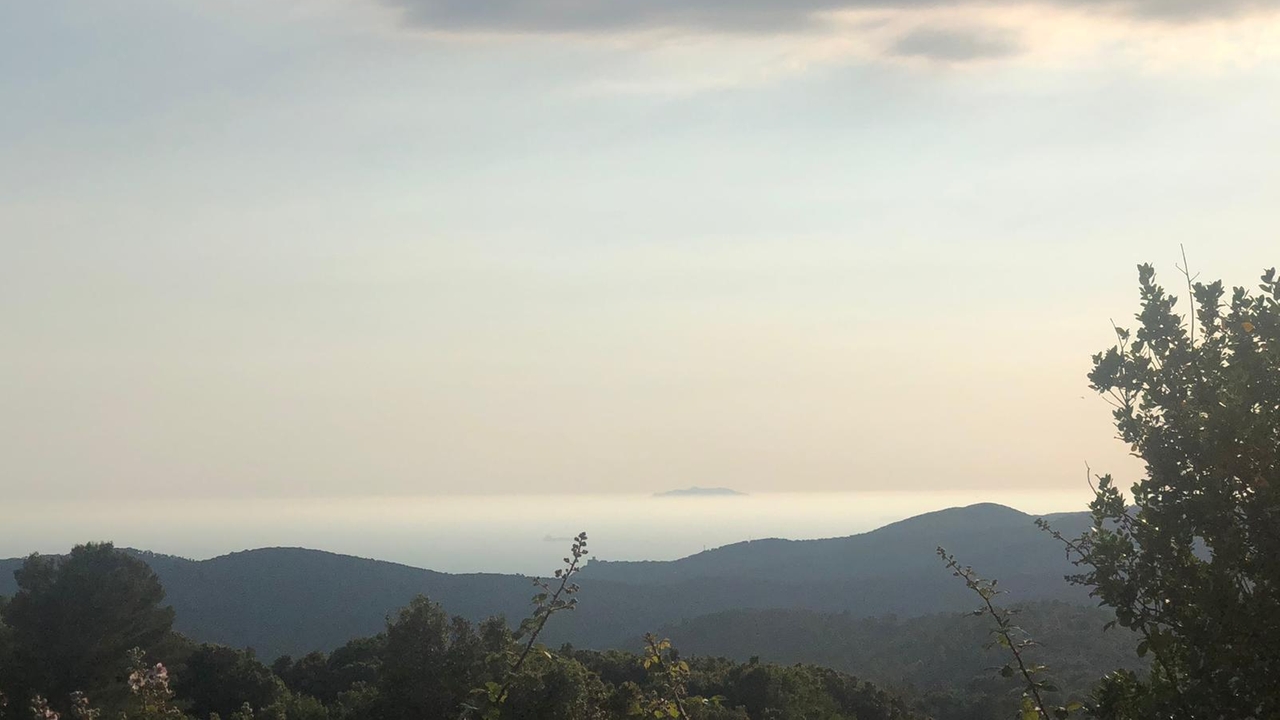 Le colline livornesi