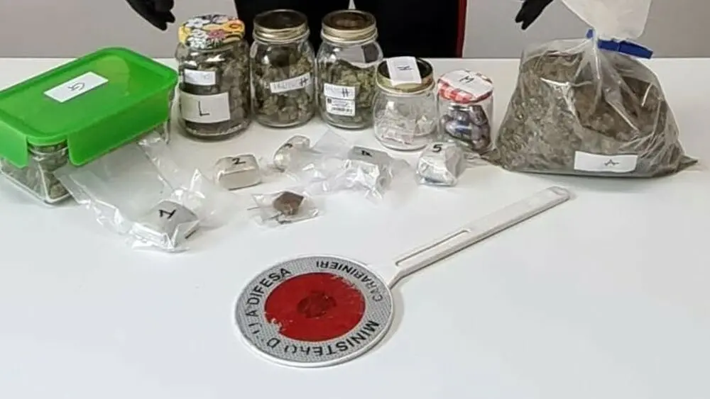 Spedisce la droga con il corriere: arrestato ventenne livornese