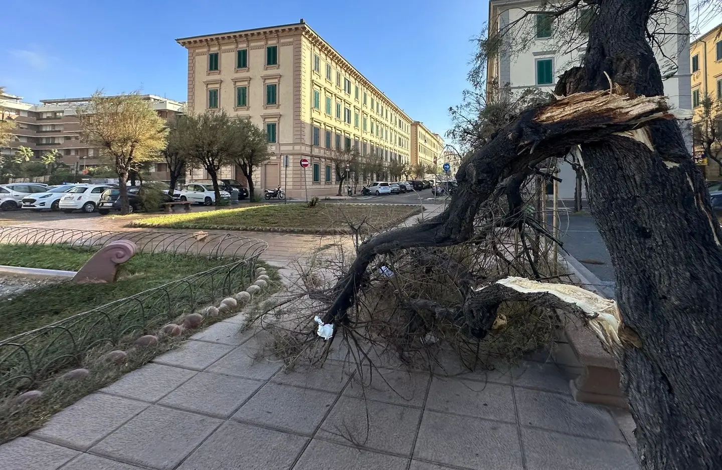 Livorno dopo il nubifragio: oggi riaprono scuole, parchi e cimiteri