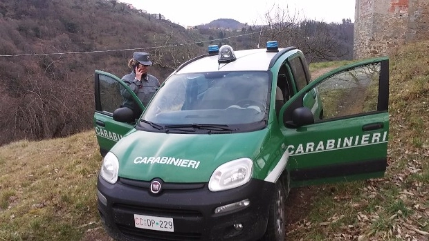 Carabinieri forestali (foto d'archivio)