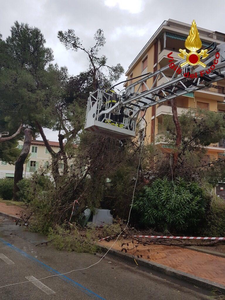 Maltempo: Traghetti Per L'Elba, Saltano Alcune Corse. Raffiche Di Vento ...