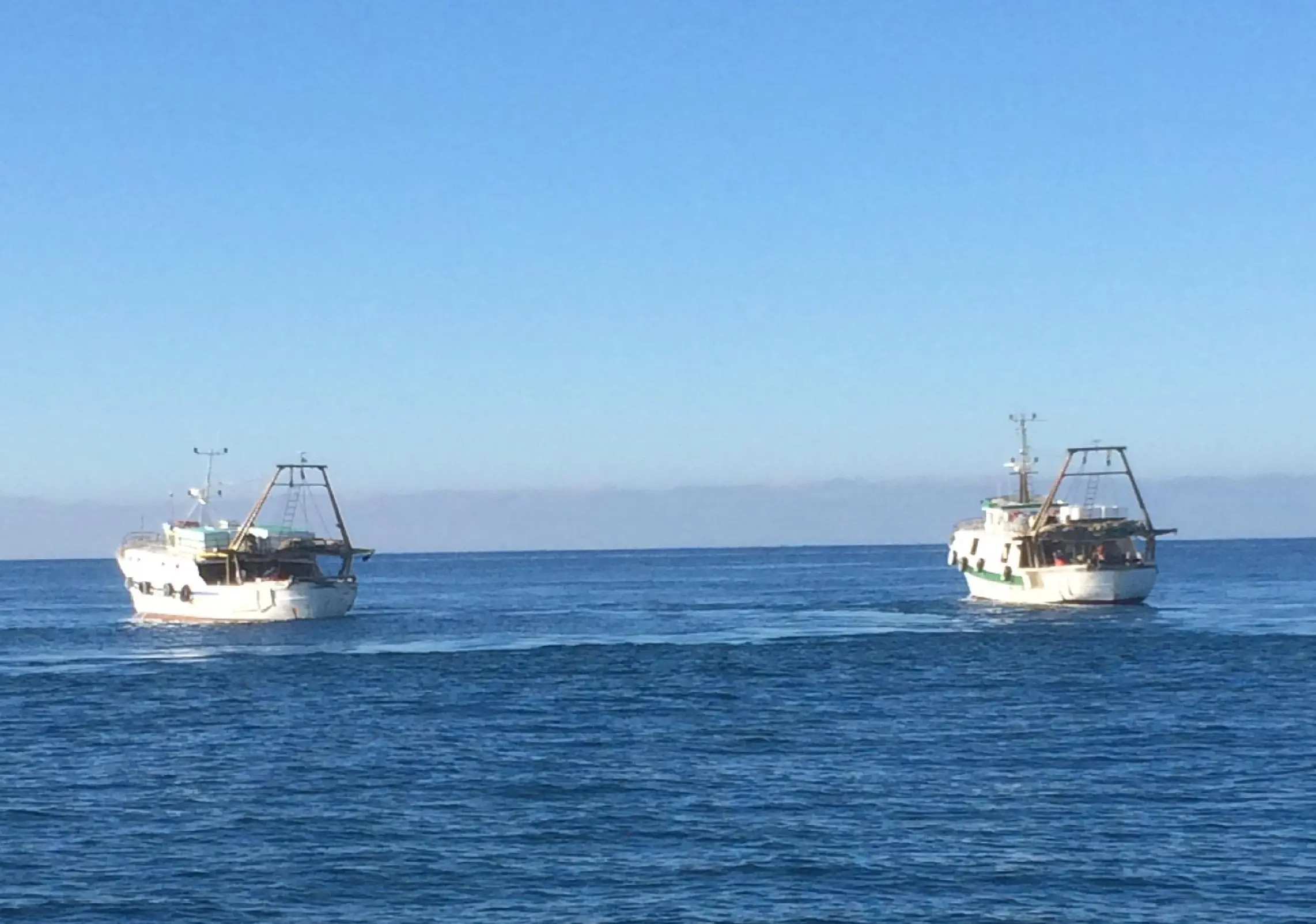 Via la plastica dal mare, grazie ai pescatori di Livorno / VIDEO