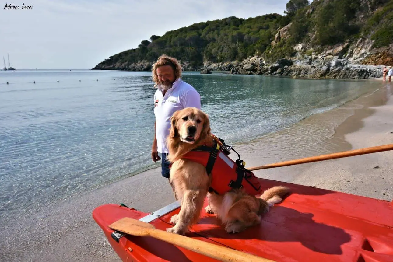 Paco, bagnino a quattro zampe. Turisti sicuri e bambini felici