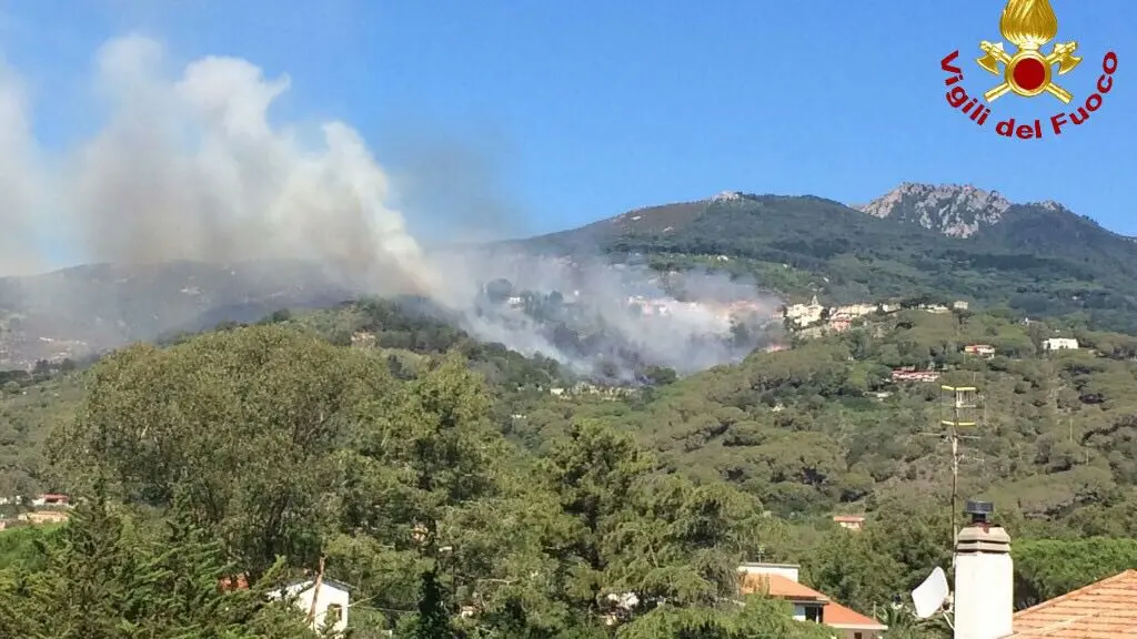 Incendio all'isola d'Elba / FOTO / VIDEO