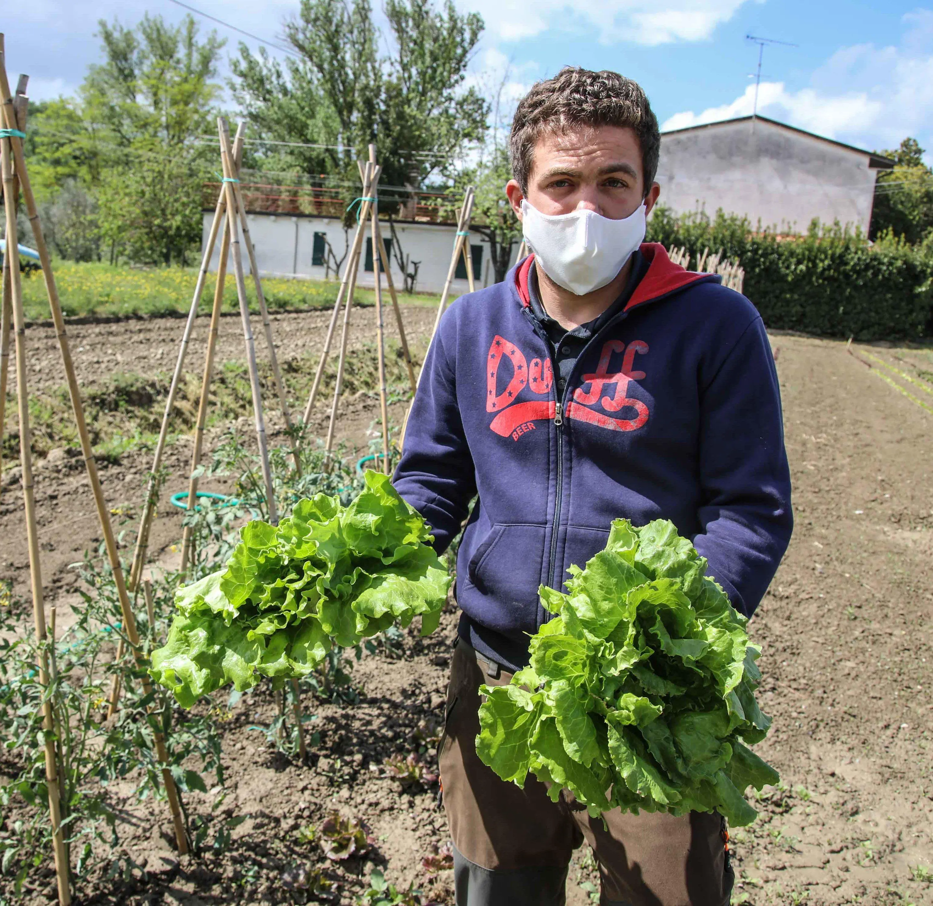 Coldiretti: "Consentita anche in zona rossa la piccola agricoltura"