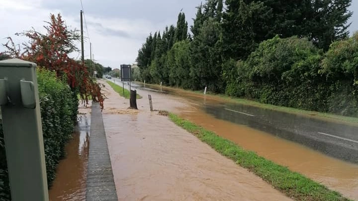 Segnalato uno smottamento sulla strada provinciale che collega Rosignano Marittimo a Castelnuovo della Misericordia