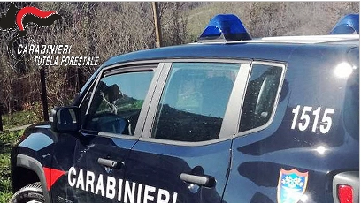 Una macchina dei carabineiri forestali