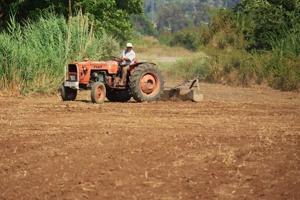 Agricoltura e Pesca, approvato dalla Regione Liguria il Piano 2025