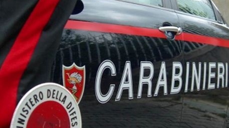 Intervento dei carabinieri (Foto Ansa)