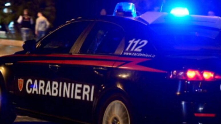 Auto dei carabinieri (foto d'archivio, Ansa)