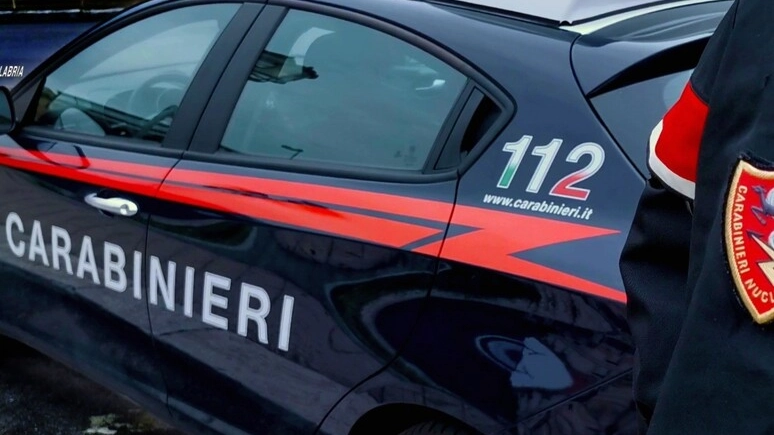 L'operazione dei carabinieri