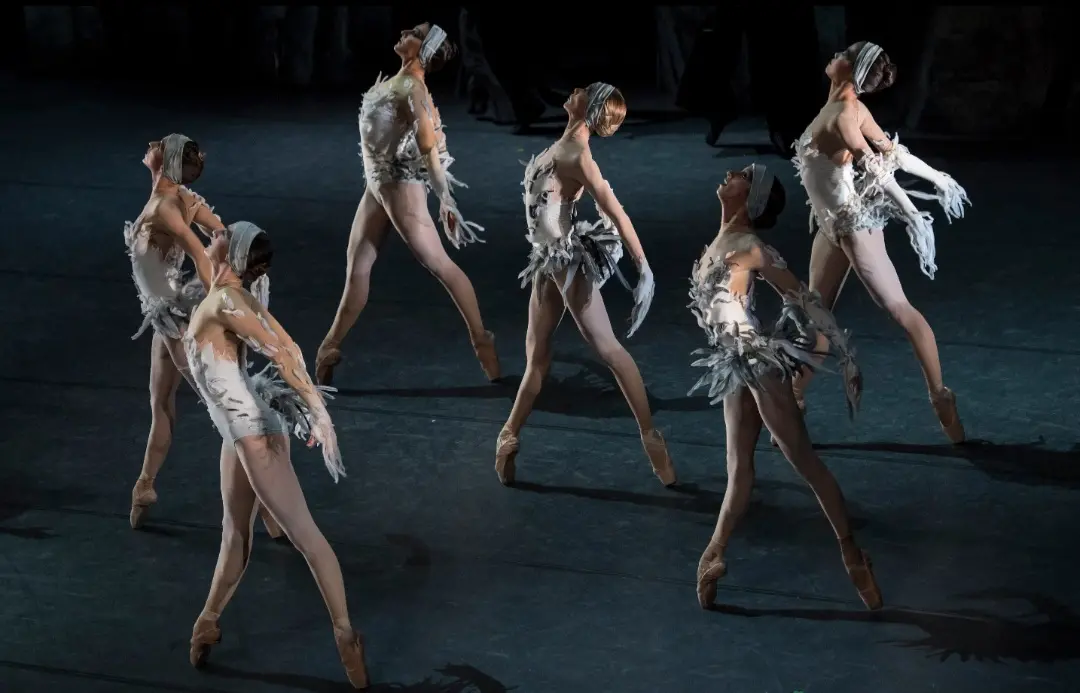 Maggio Fiorentino, tre serate dedicate al balletto: va in scena Lac da ‘Il lago dei cigni’