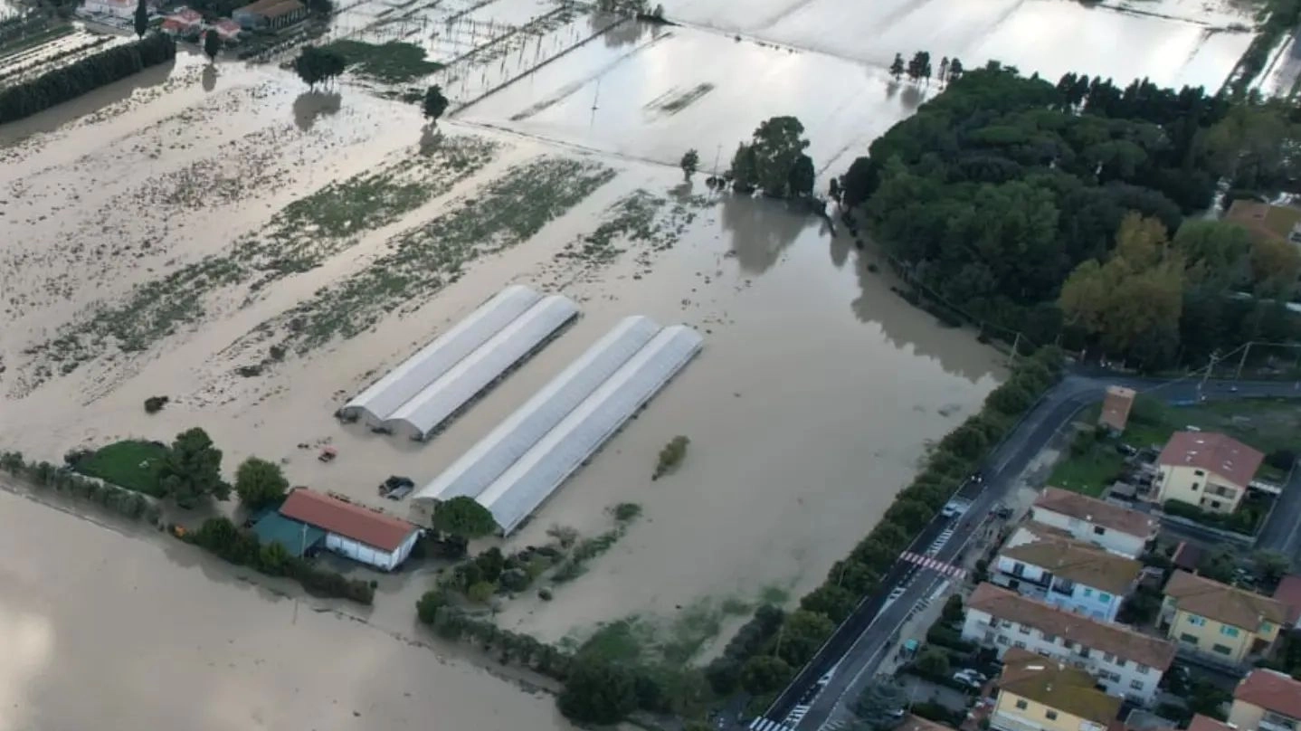 Le casse di espansione a Cecina hanno salvato le zone urbane dall’inondazione