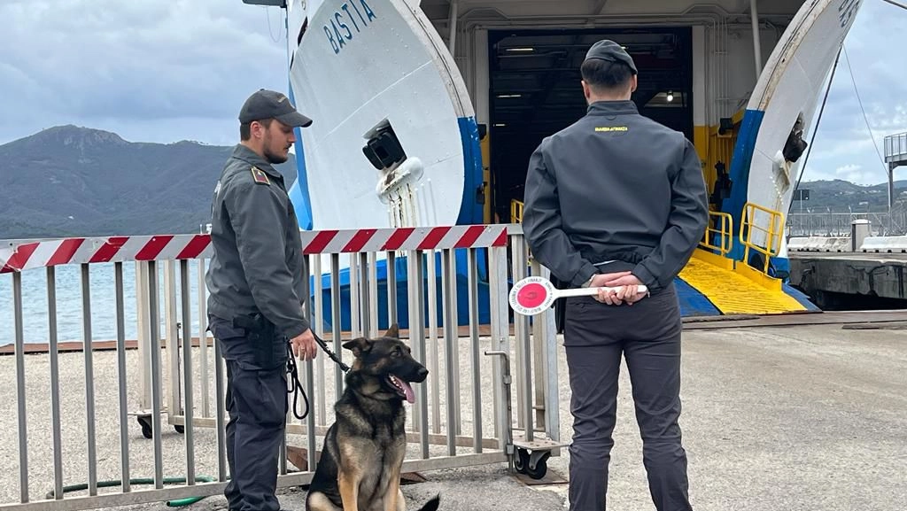 La Guardia di Finanza durante alcuni controlli a un traghetto a Portoferraio. In questi giorni di grande afflusso turistico la sorveglianza è intensificata