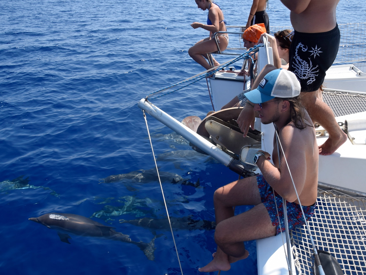 I delfini visti dal Mary G al largo dell'Isola d'Elba