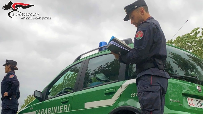 Carabinieri forestali (foto di repertorio)