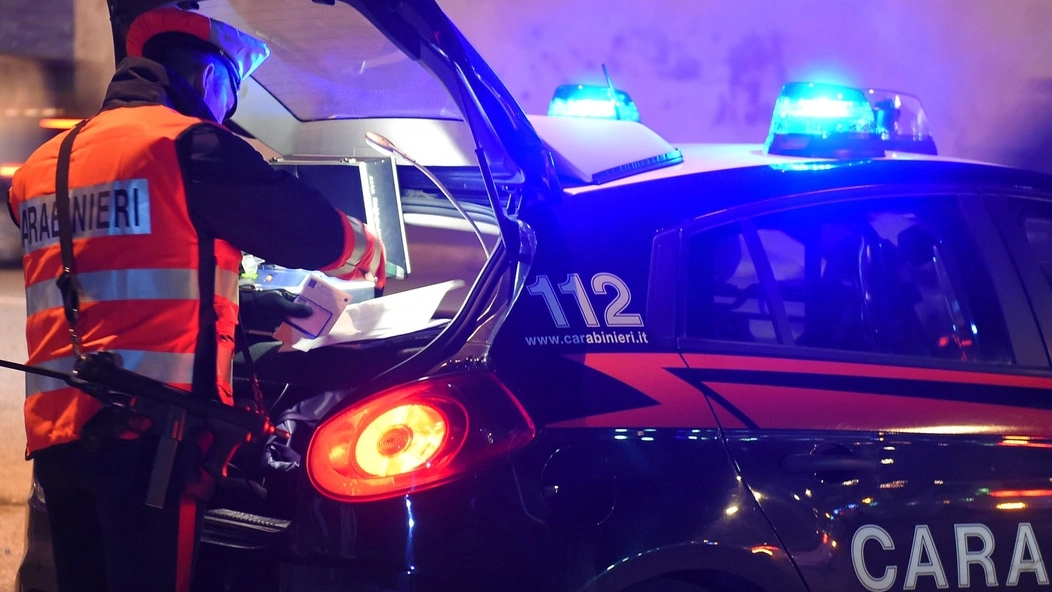 Sul posto sono intervenuti i carabinieri