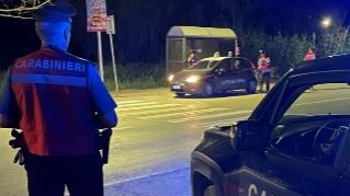 Controlli dei carabinieri su tutta la costa. Diverse violazioni da Castiglioncello a Rosignano, Bibbona e Castagneto