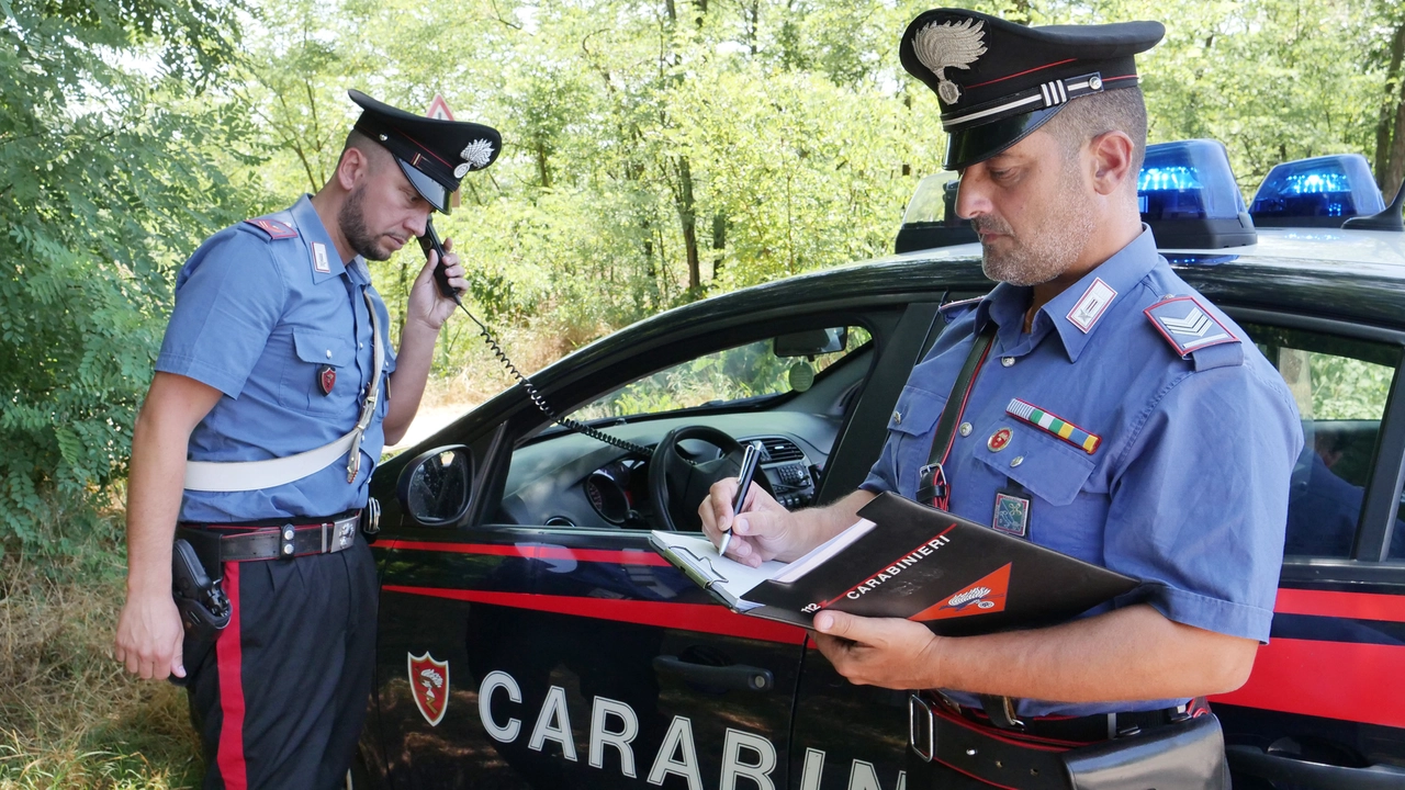 carabinieri generiche pavia