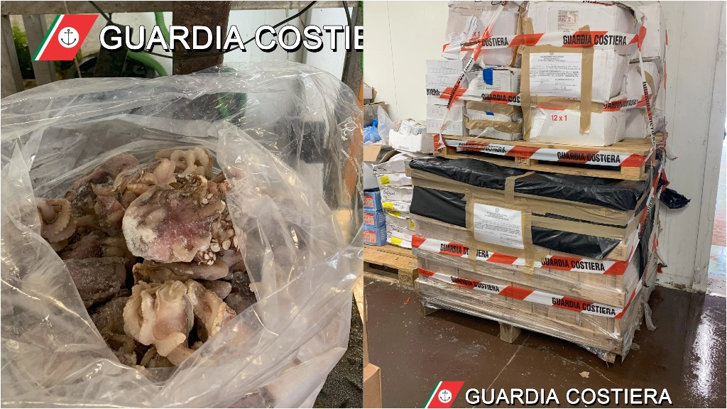 L’attività della guardia costiera ha portato al sequestro di 500 chilogrammi di prodotti ittici