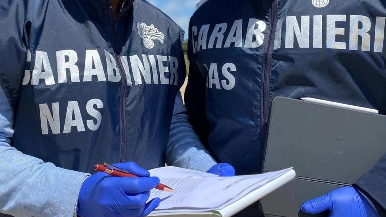 I carabinieri della NAS (foto d'archivio, Ansa)