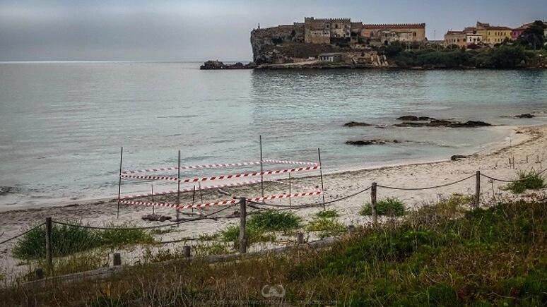 Sono nate le prime tartarughine sulla spiaggia di Pianosa