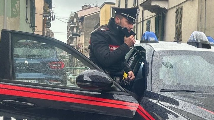 I carabinieri (Foto Ansa)