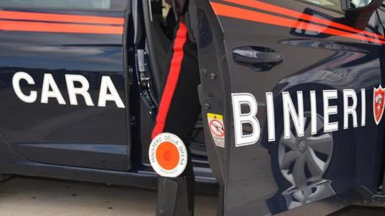 Il controllo effettuato dai carabinieri (Foto Ansa)