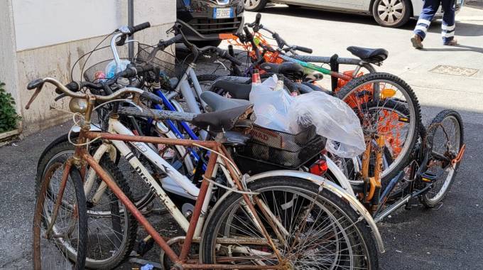 le biciclette le portano via i livornesi